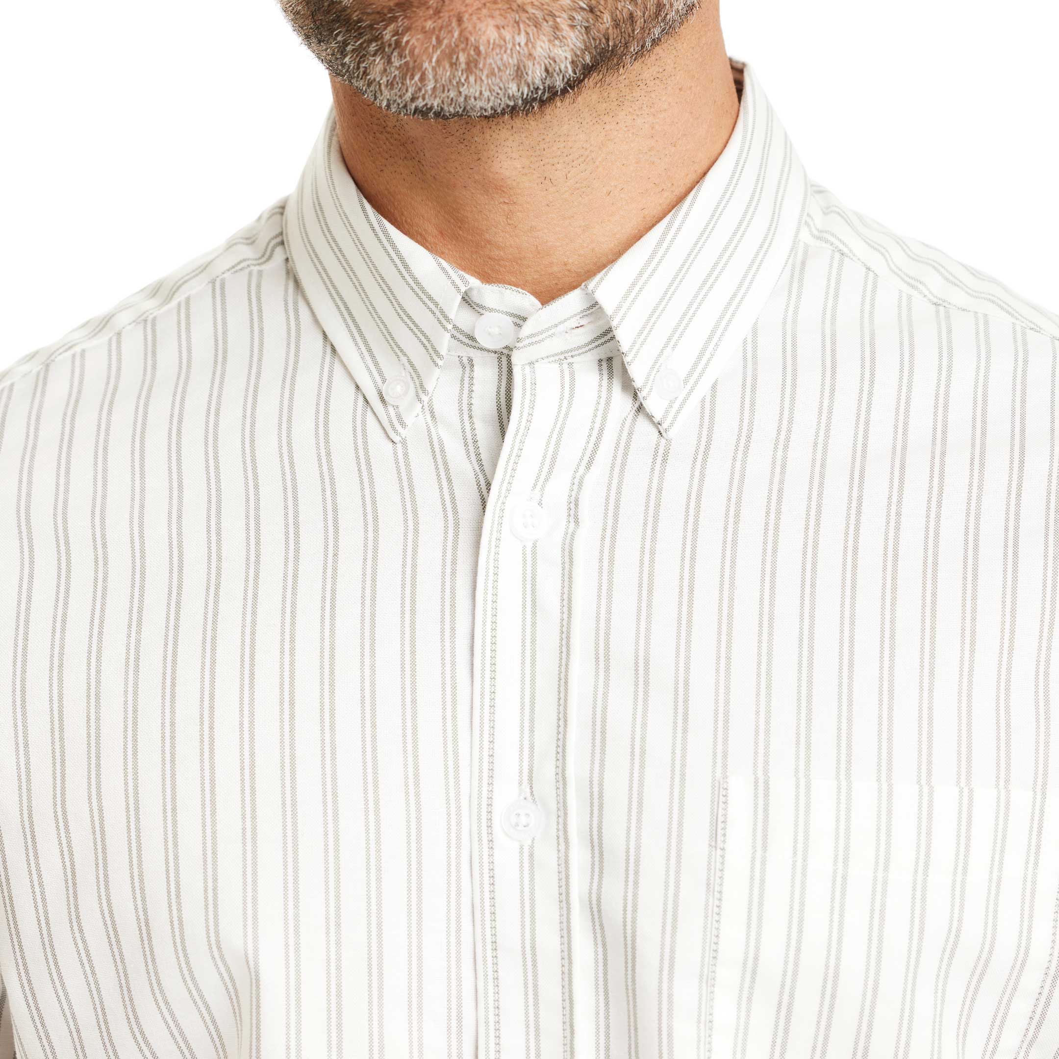 Ash & Erie Longford Stripe Oxford Wrinkle-Free Button-Down Shirt for Short Men   Everyday Shirts